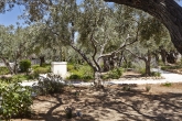 14-08-21-08-27-Israel569