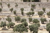 14-08-21-09-01-Israel574