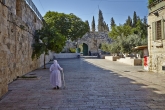 14-08-22-06-18-Israel595